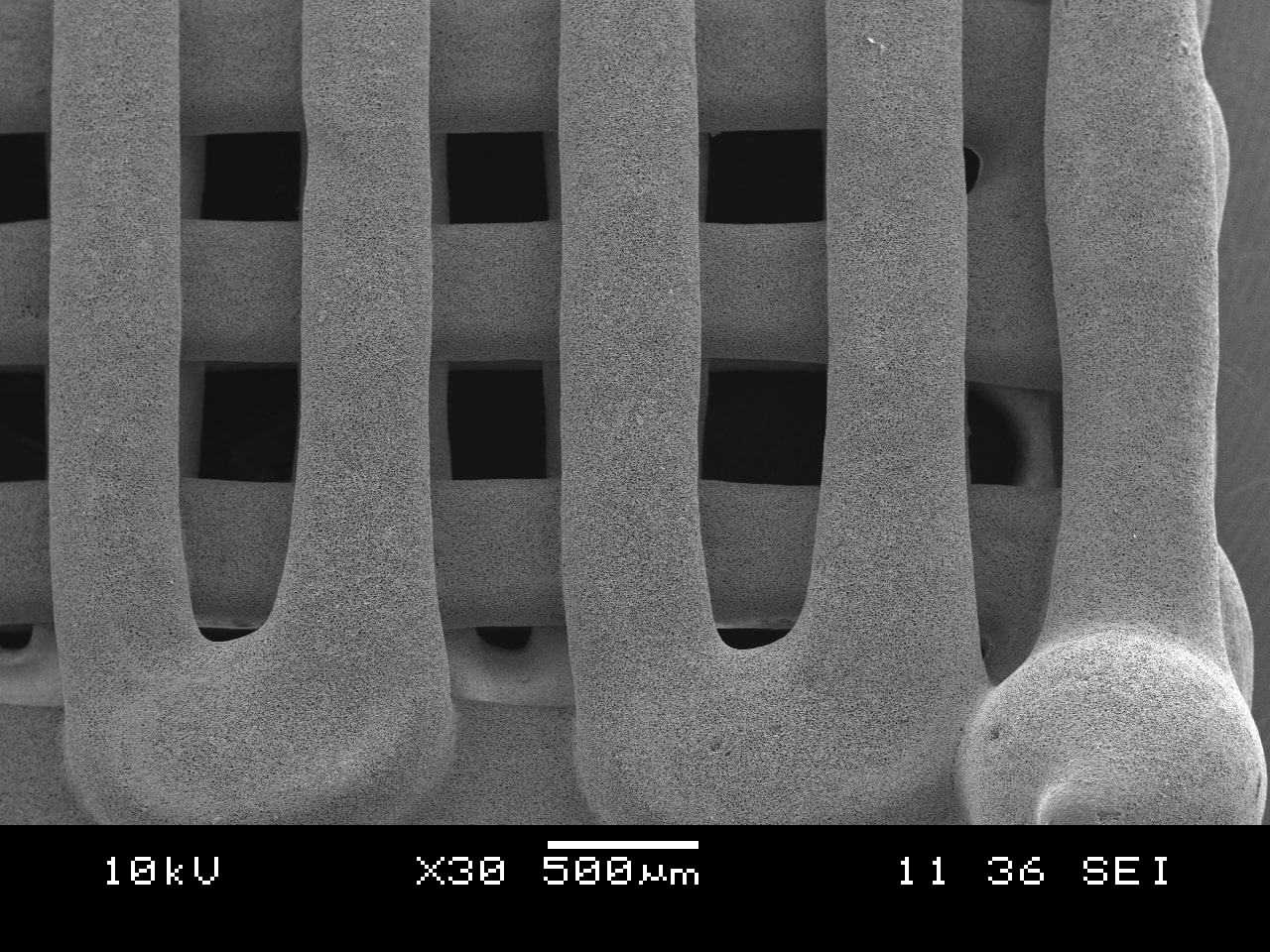 Bone Scaffold Macopores